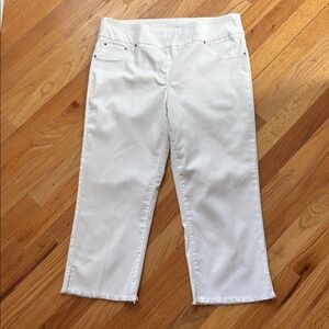 Ruby Road Capri Pants